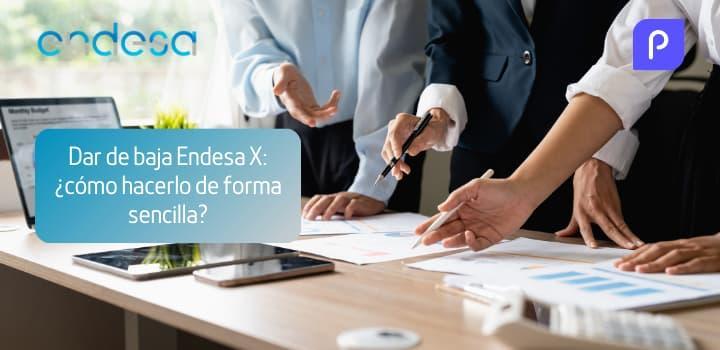 Endesa X: Cómo Darse de Baja Rápidamente y Sin Complicaciones