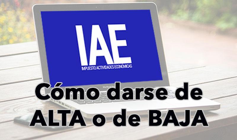 Cómo Darse de Baja en Actividades Económicas: Guía Paso a Paso para Simplificar el Proceso