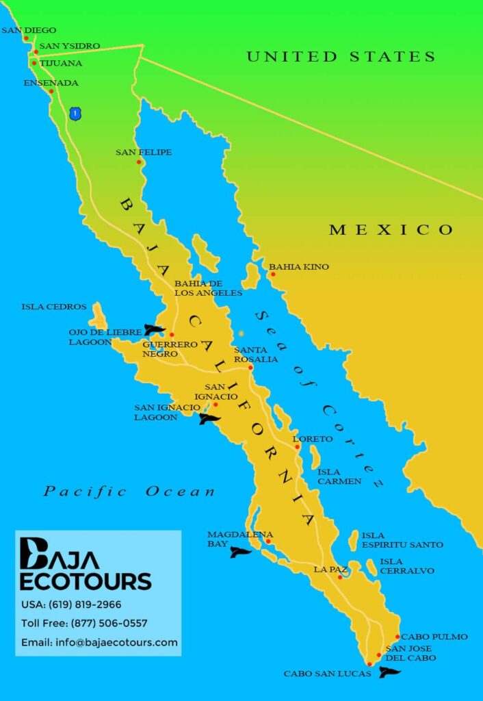 como darse de baja en spotify free